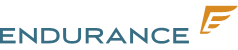 Company's Logo